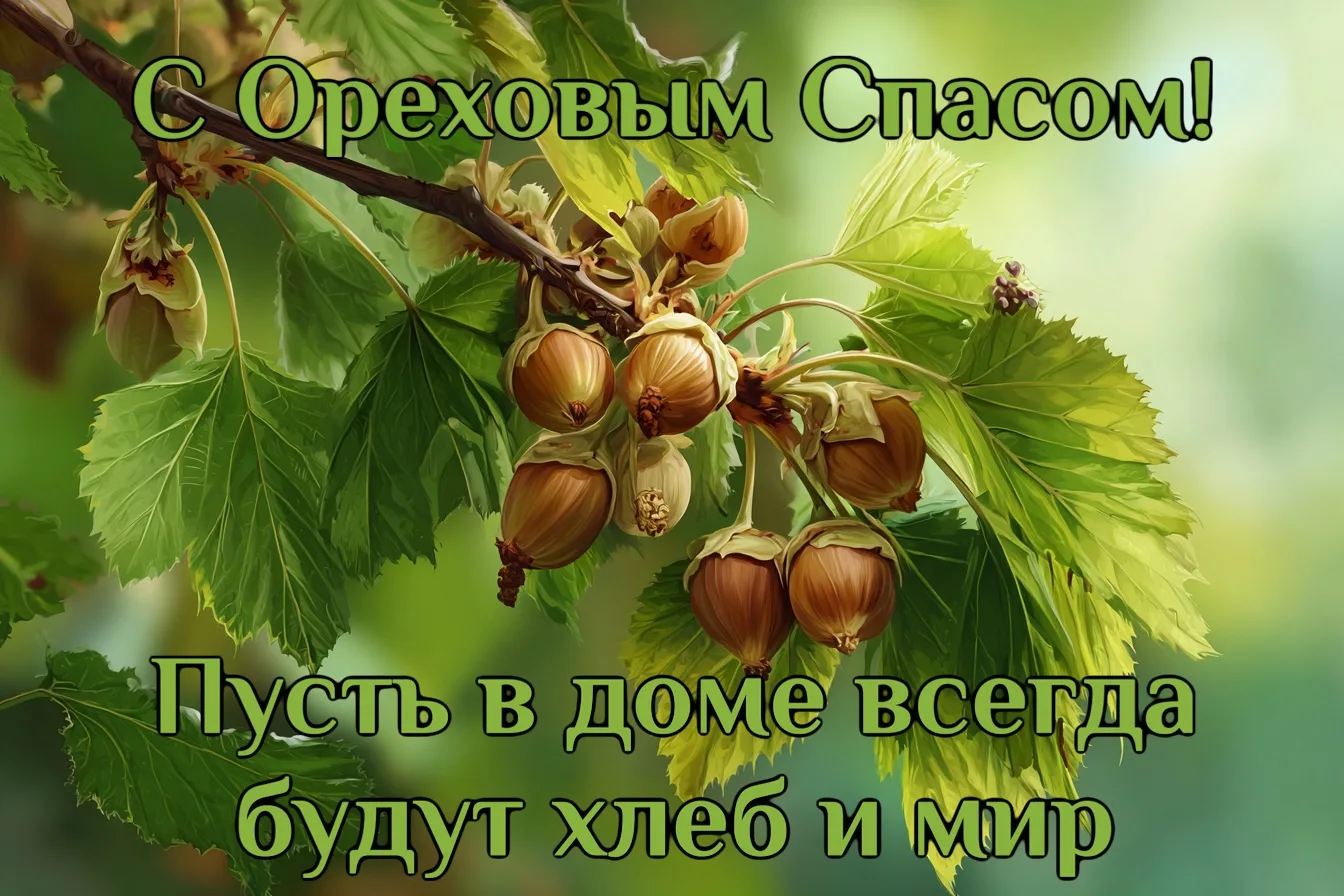 Ореховый Спас — народное название церковного праздника Перенесения Нерукотворного Образ...