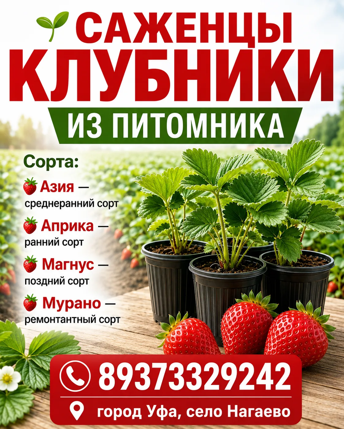 Всем доброго дня!