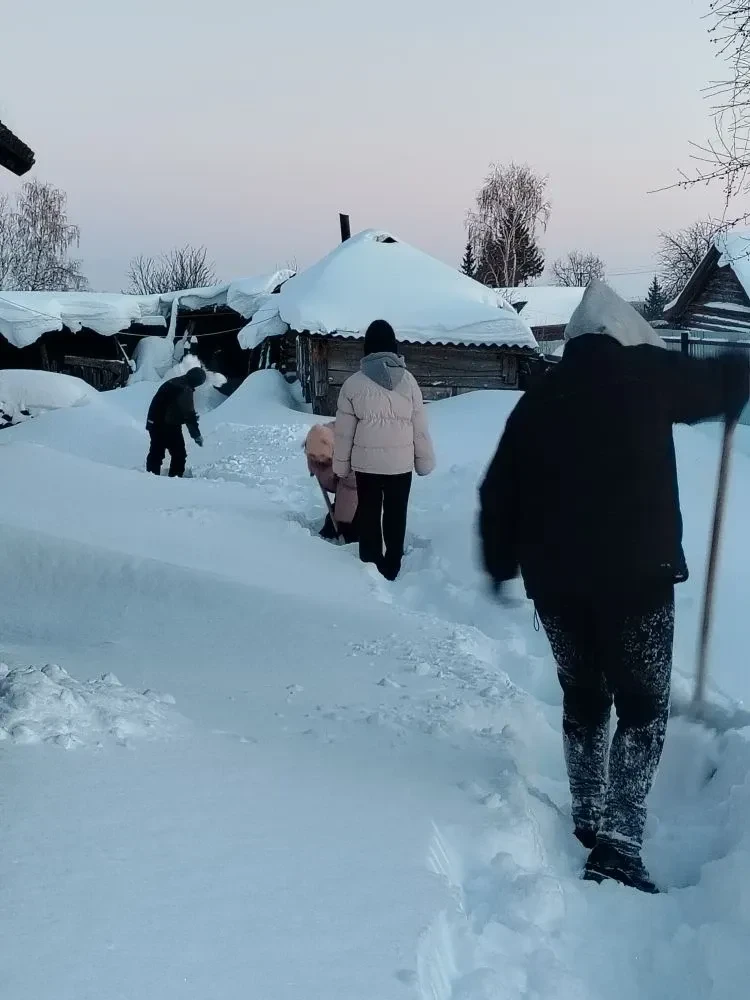 В этом году зима нас радует обильными снегопадами и крепкими морозами. Настоящая зима! ...