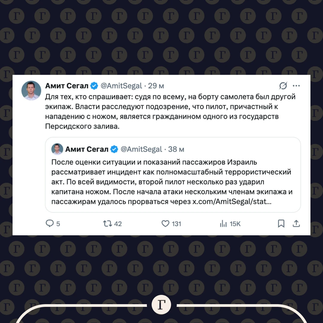 В Израиле опровергли, что пилотами рейса FlyDubai были россиянин и украинец. По… — публикация канала «Газета | Новости»