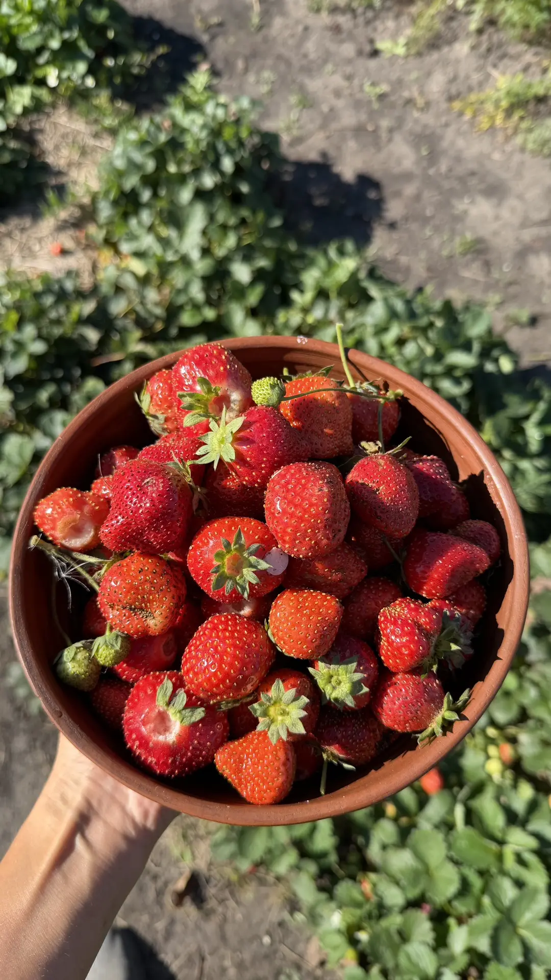 Доброе утро!!!☀️🌿