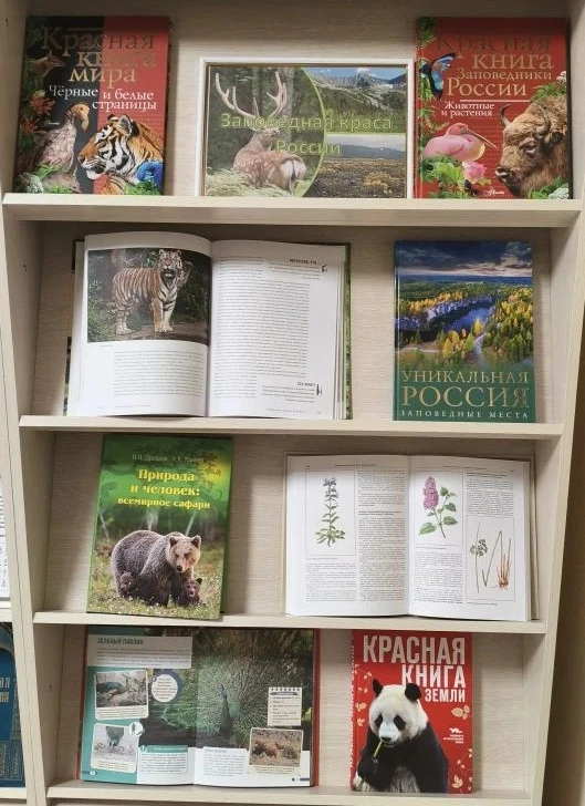 #Экология#культура46#Конышевскийрайон