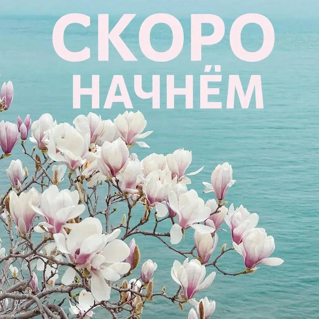 💜 Друзья, мы видим, что в нашем Телеграм-канале вас всё меньше и активно готовим перех...