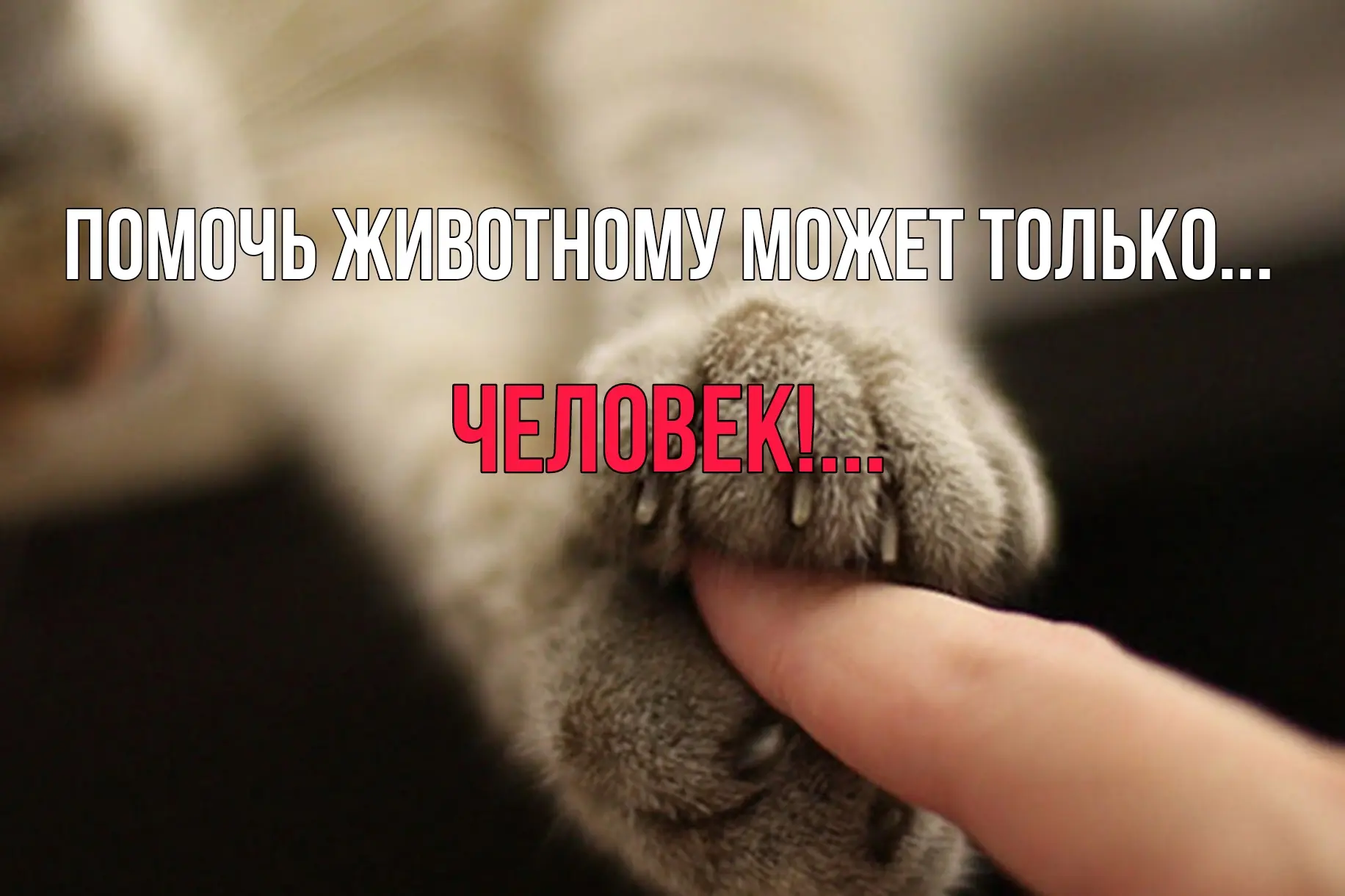🙌Дорогие друзья!