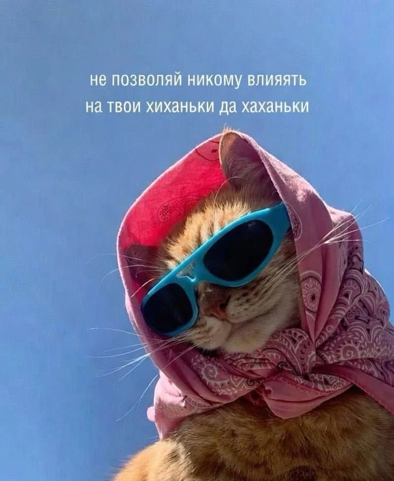 Никогда