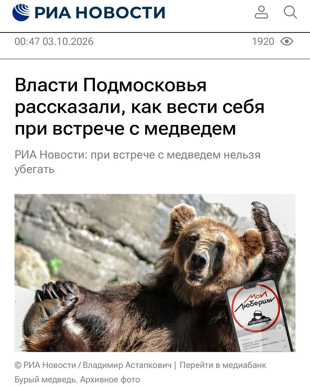 «Если вы встретились с медведем, нужно начать производить громкие звуки, можно поднять ...