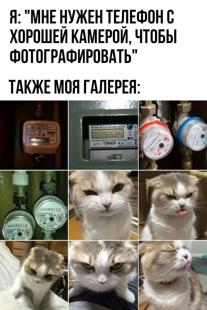 мемы / приколы / юмор / смешно