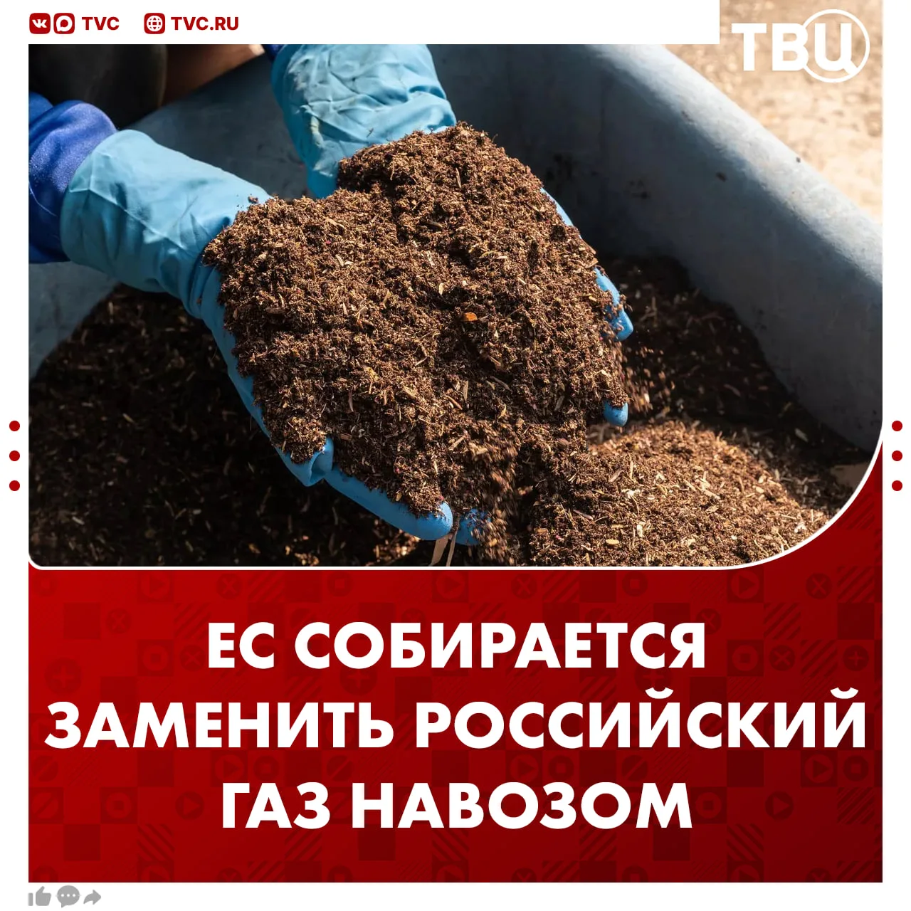Лишь бы не ослаблять санкции: Евросоюз решил заменить российский газ навозом  Европа не может получа