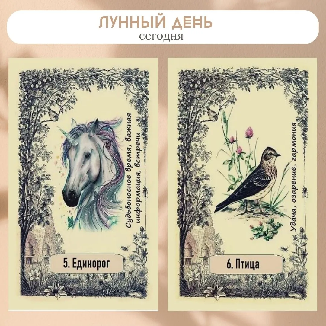 Сегодня 20 июня 2026, 5-6 лунный день.

🌙 Растущая луна. Луна в знаке Дева. Энергия Девы способству