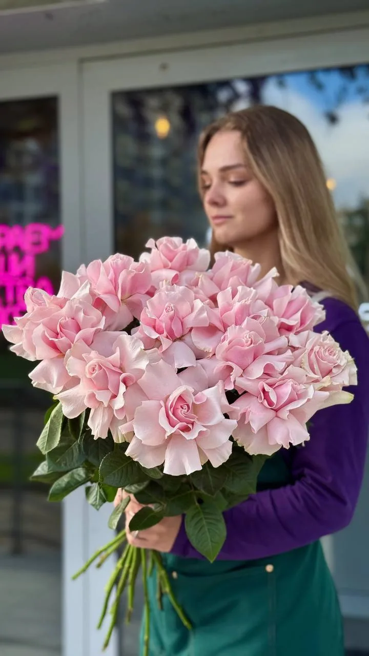 Розы, которые мы ждали — уже здесь 🌹