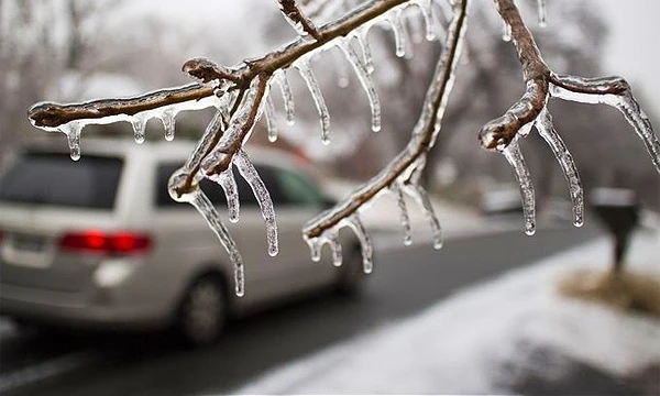☔ Ожидается мокрый снег и дождь в Свердловской области 3 октября.