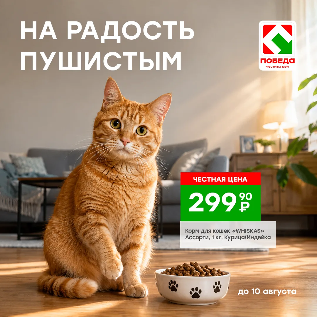 Забота о вашем пушистом друге начинается с правильного питания! 🐾Корм «WHISKAS» — это сбалансирован