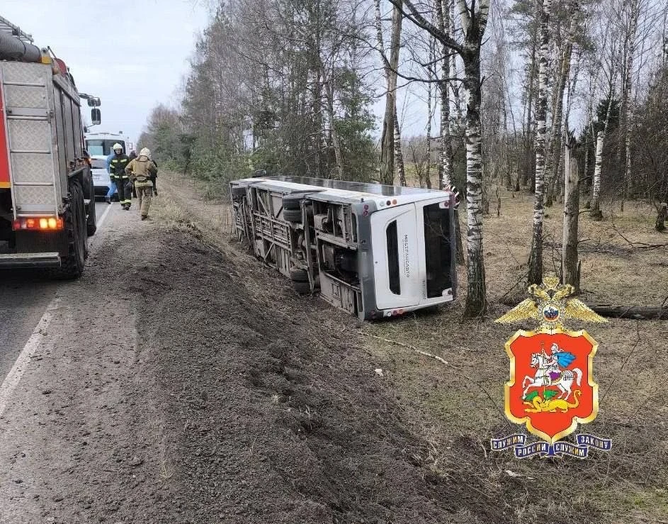 Рейсовый автобус улетел в кювет .  Авария случилась возле села Стромынь в Богородском округе. На мом
