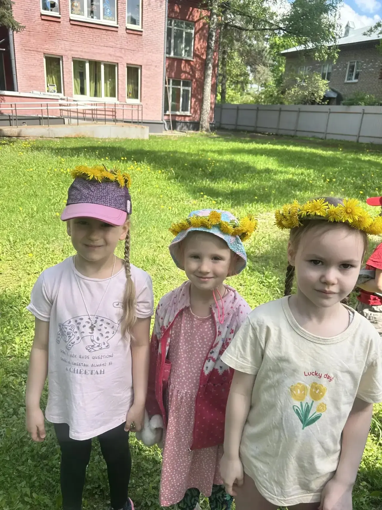 Удивительные цветы – одуванчики. Яркие, скромные, милые, но при этом неприхотливые, выносливые, жизн