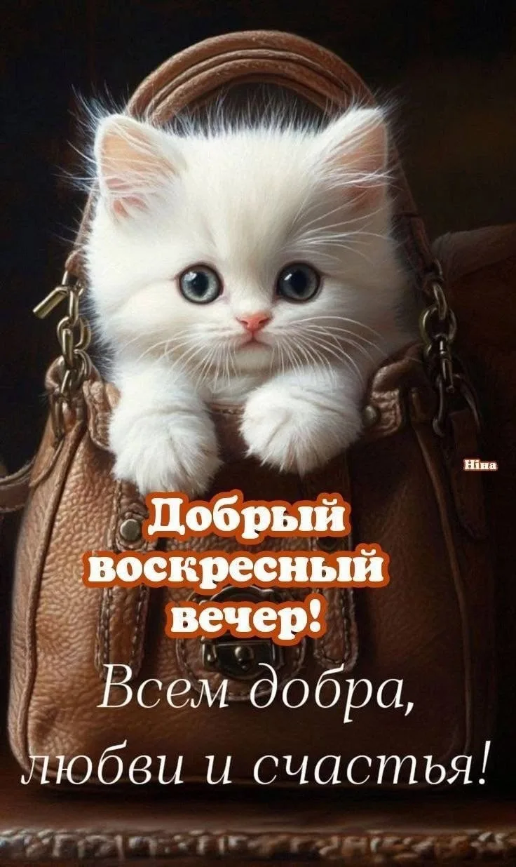 Дом Открыток🏠