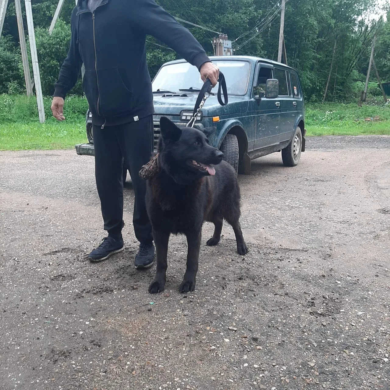 Наши пациенты.