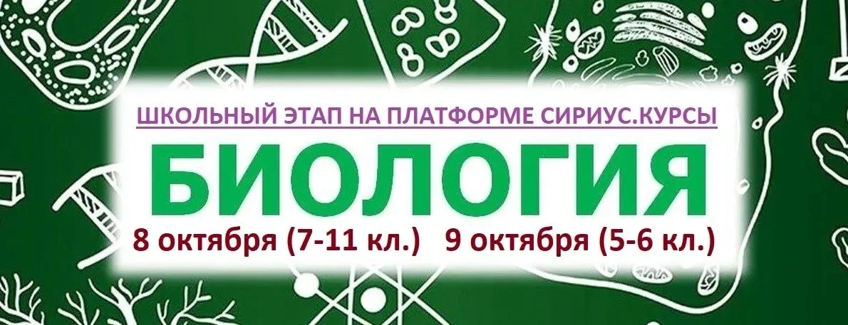 Здравствуйте, коллеги!