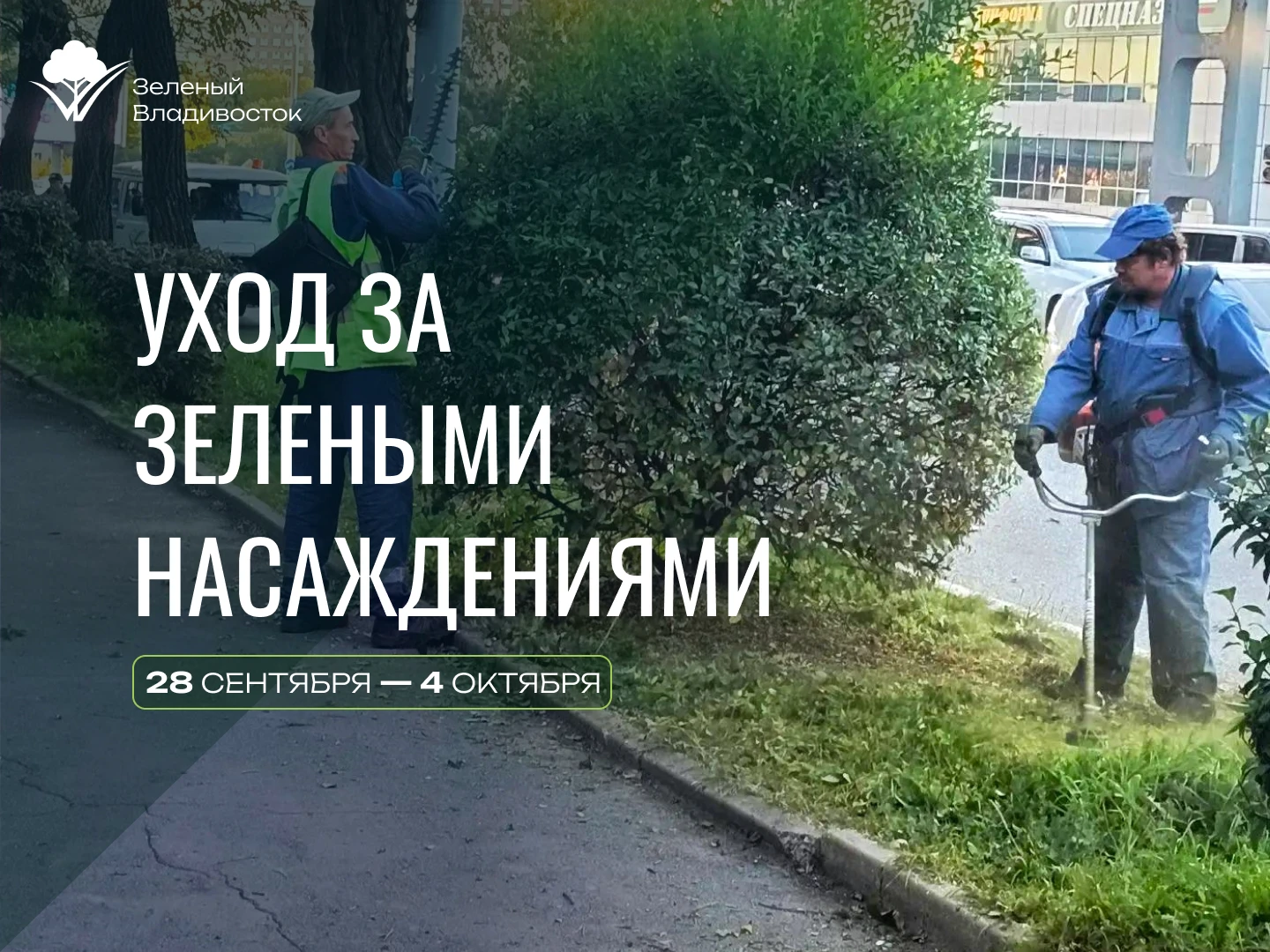 ✅Где на этой неделе будут ухаживать за газонами во Владивостоке?
