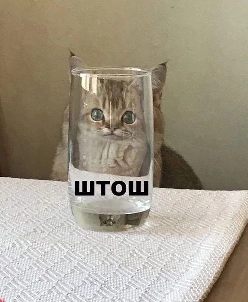 С пятницей, друзья! Доброе💚