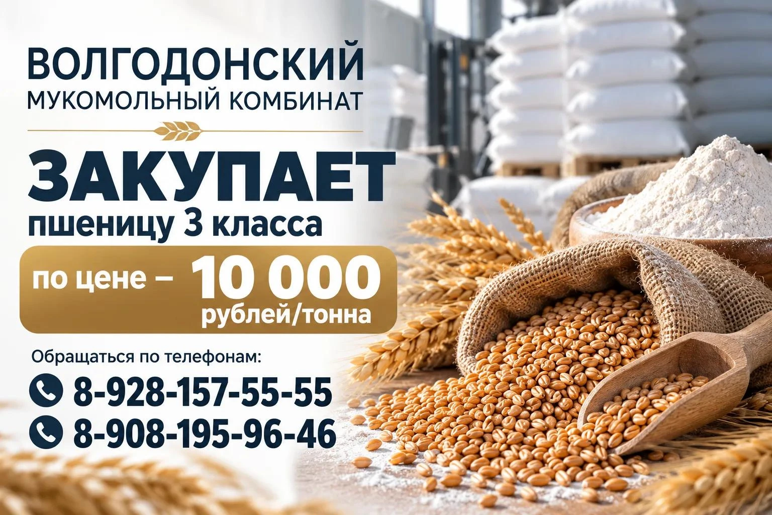 Волгодонский мукомольный комбинат закупает пшеницу