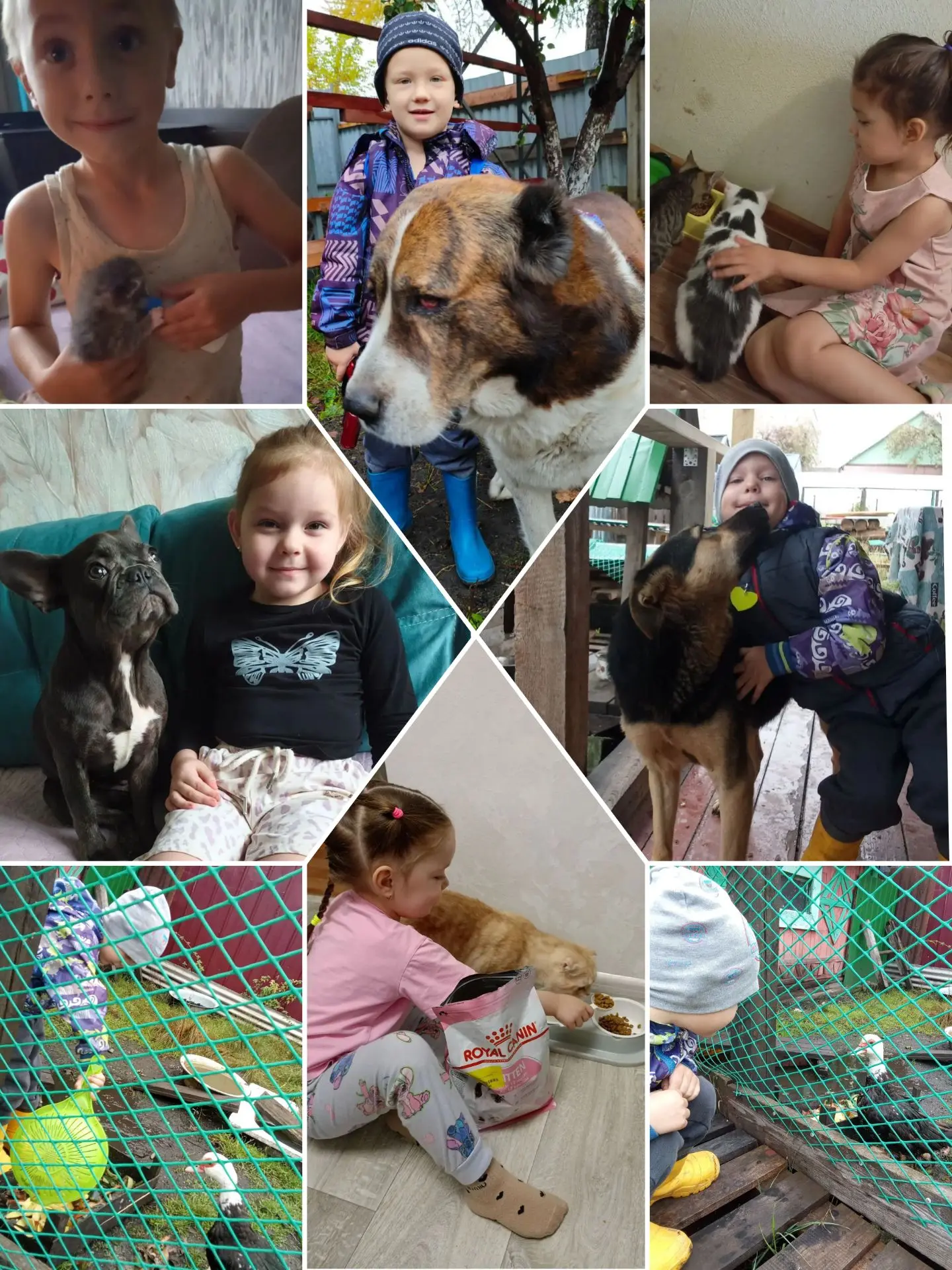 🐾 Сегодня, 4 октября, во Всемирный день защиты животных, мы хотим поделиться снимками ...