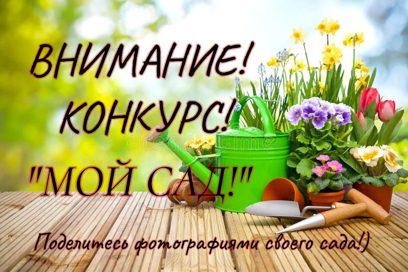 Приглашаем к участию в конкурсе жителей старшего поколения  муниципального образования ...