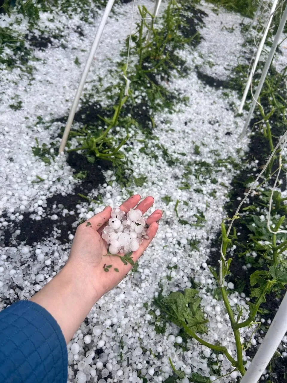⚡ Настоящий апокалипсис прямо сейчас в часе езды от Казани — в Алексеевском районе РТ в...