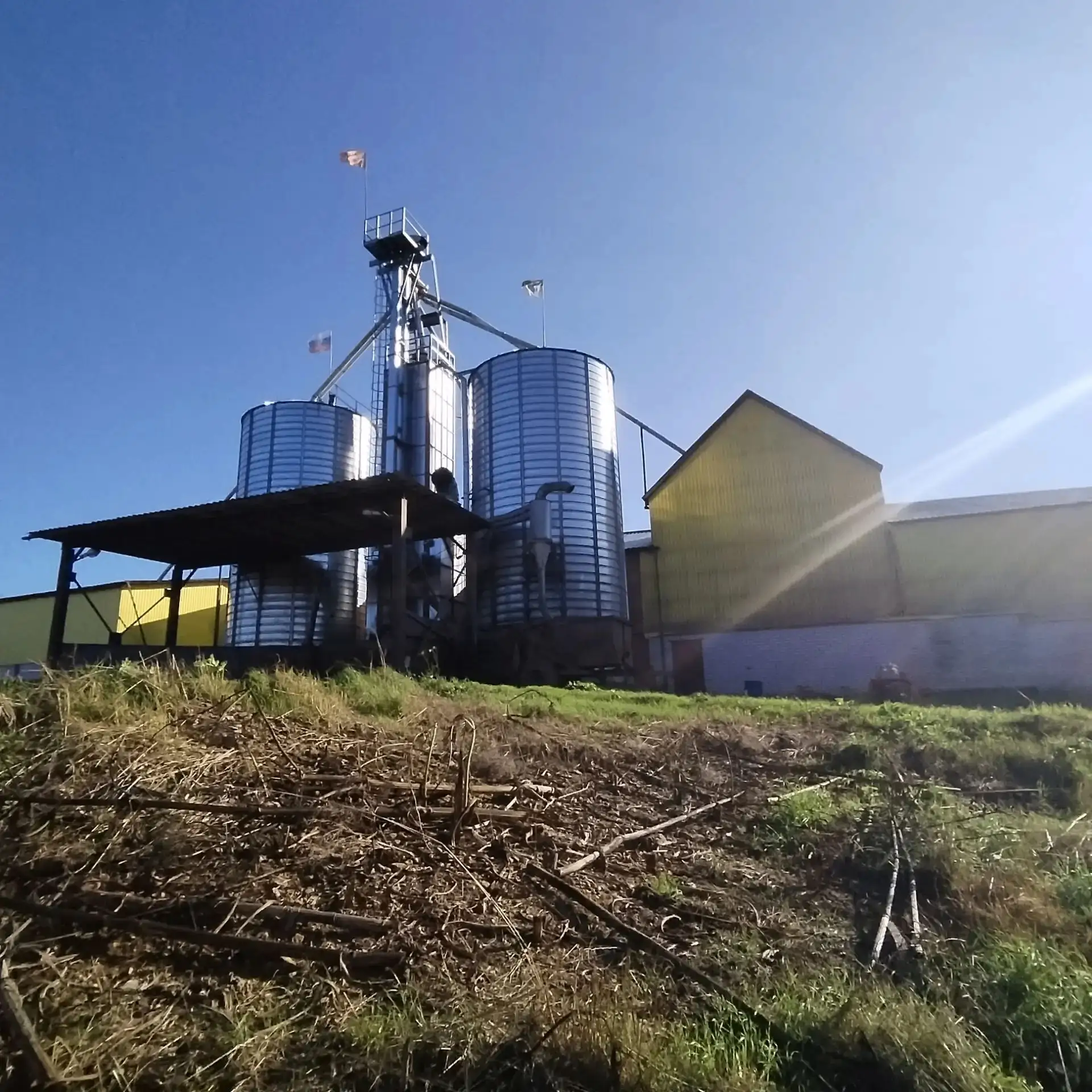 В Новгородской области в колхозе «Россия» реконструируют скотный двор🐄