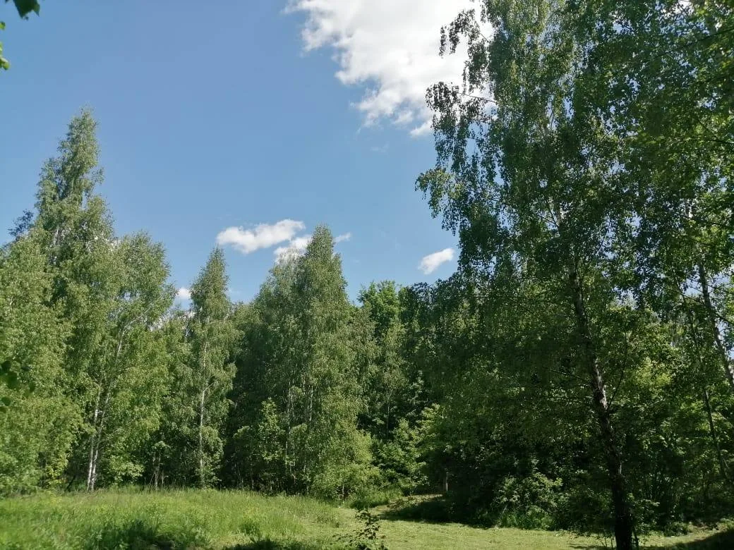 Сегодня экватор лета, это пик расцвета природы, это эпицентр максимальной ослепительной насыщенности