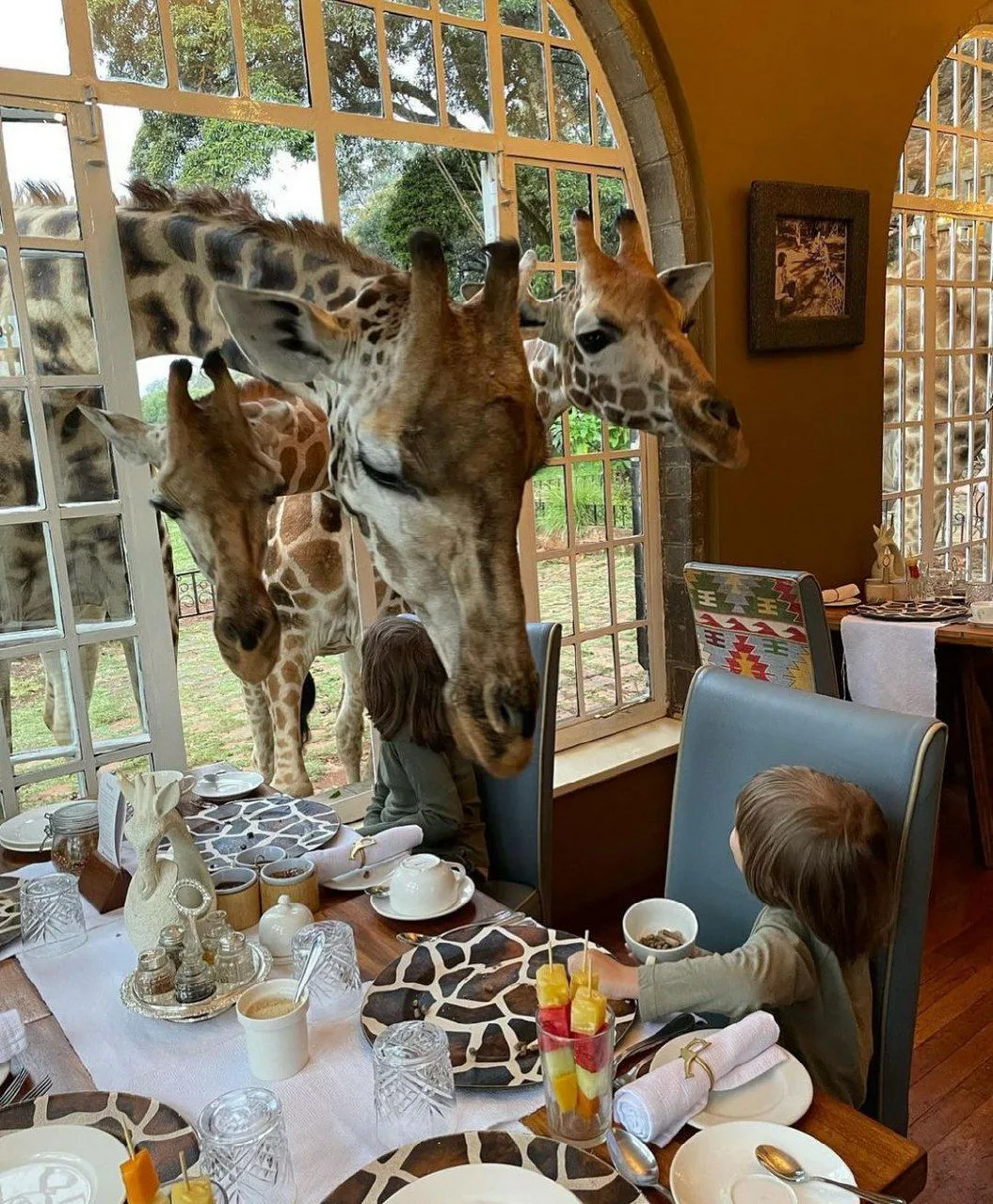 Отель о котором мечтают все - Giraffe Manor hotel🦒