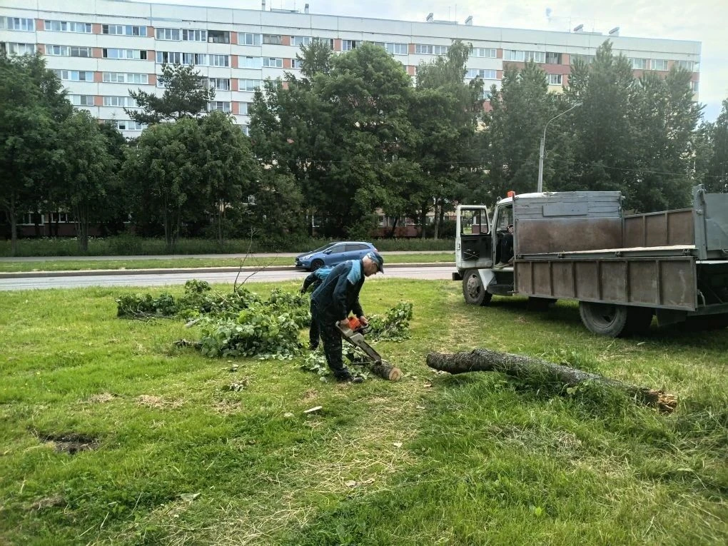 Накануне Петербург был умыт ливнями и освежен грозами. При этом, конечно, погодные явле...