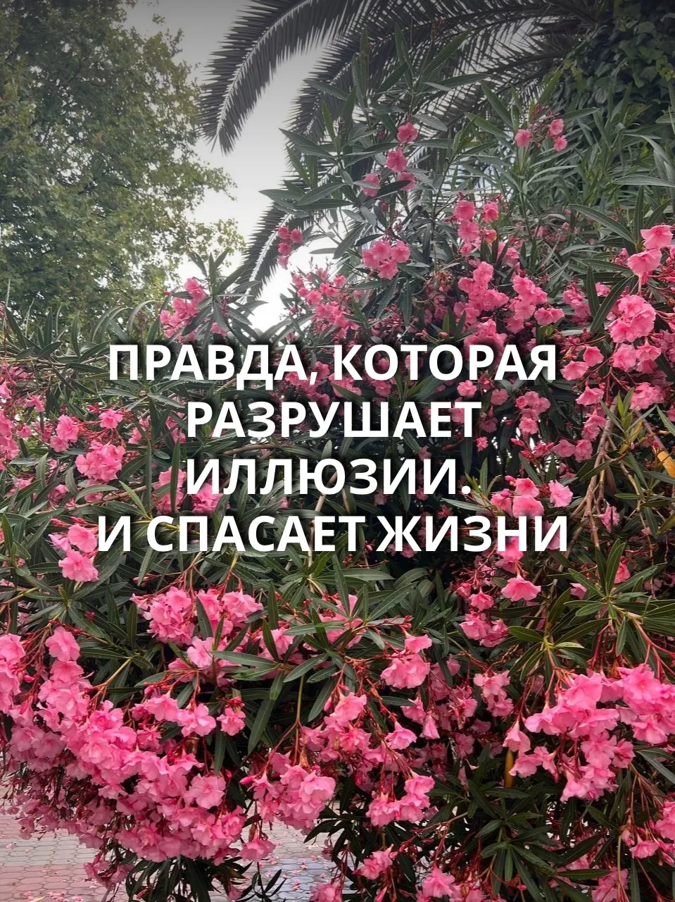 Правда, которая разрушает иллюзии. И спасает жизни.

Девочки, кто не читал 👉ИСТОРИЮ, прочтите, чтоб