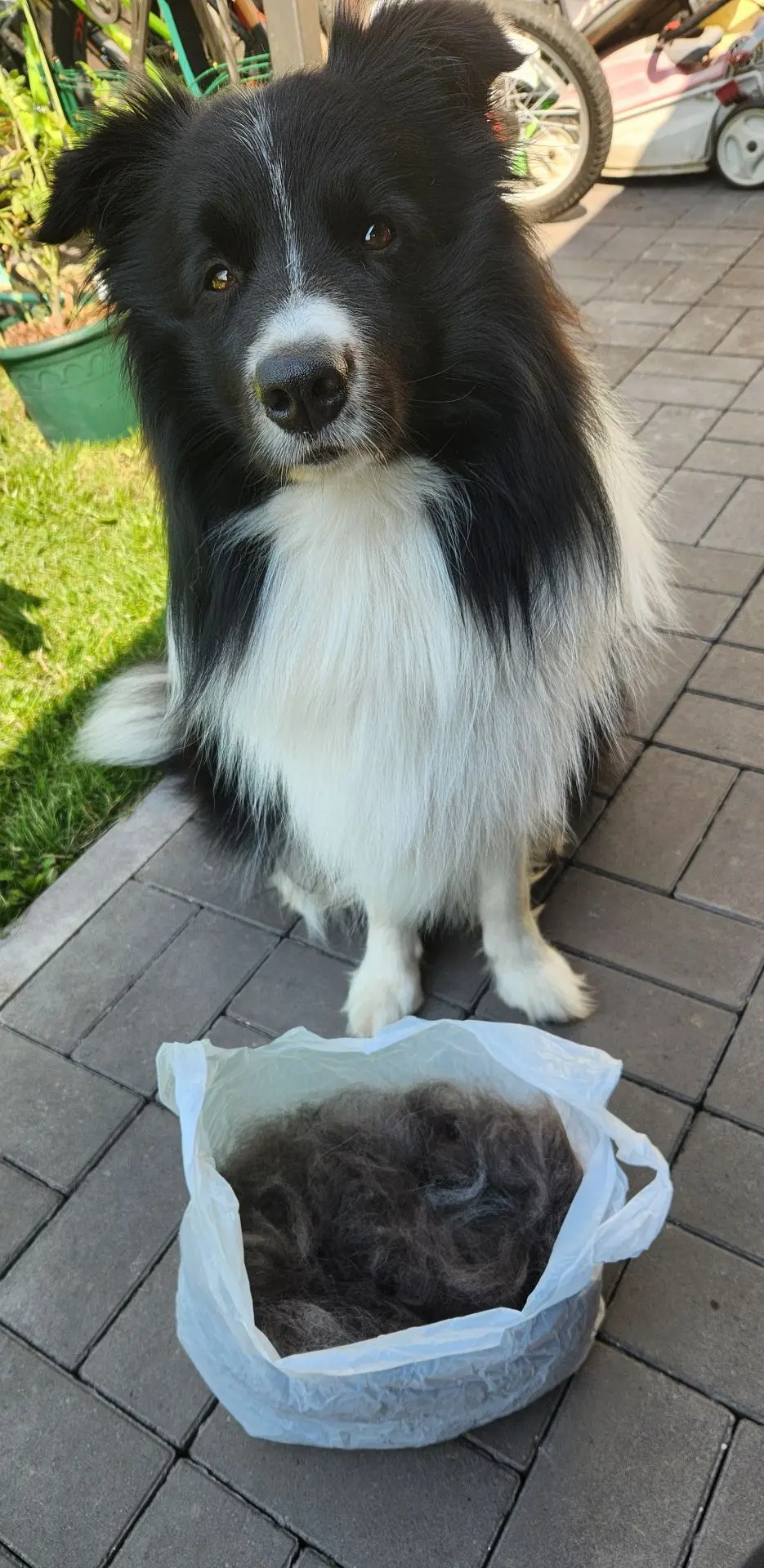🥏 НАХОДКА ВЕКА И ВЕЛИКИЙ ДЕНЬ ДРУЖБЫ! 🤝🐾