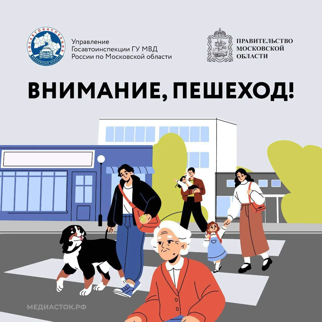 Пешеход всегда прав? Или все-таки нет?