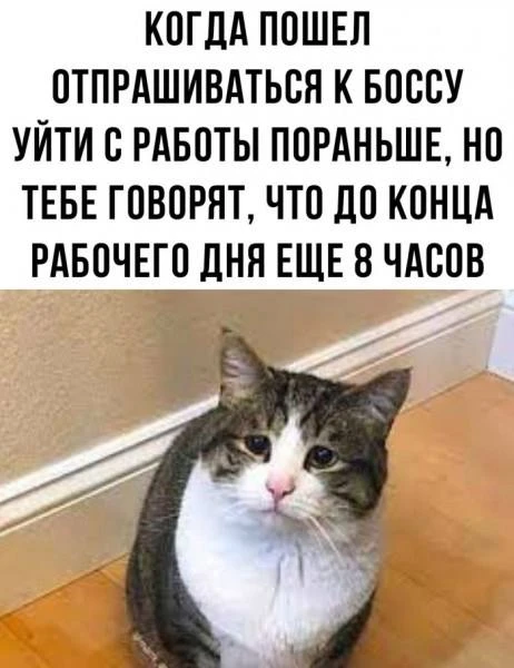 В воскресенье, 15 сентября, в городе ожидается облачная погода. Температура воздуха сос...