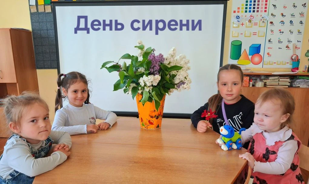 Сирень-красивый цветущий кустарник, который радует нас своей красотой в середине мая🌸