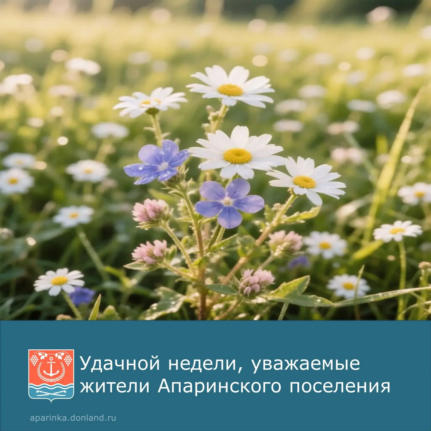 🌸Отличного начала новой рабочей недели!