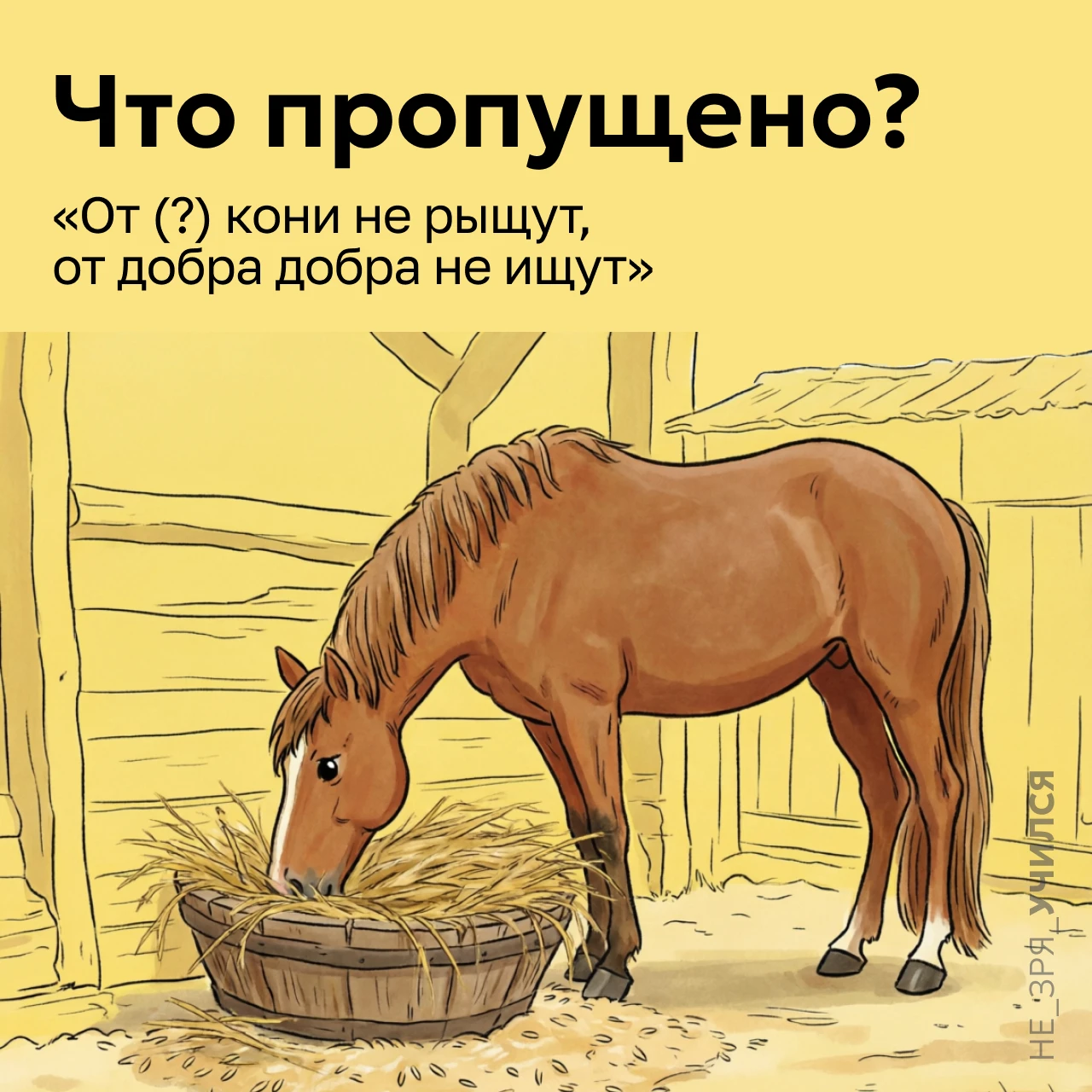 🤔 Эта пословица звучит как мудрое предостережение: не стоит гнаться за чем‑то новым, е...
