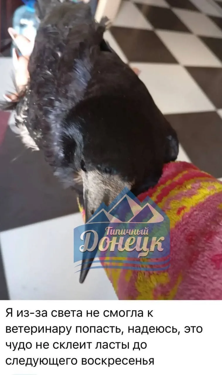😕 Ситуации в Донецке
