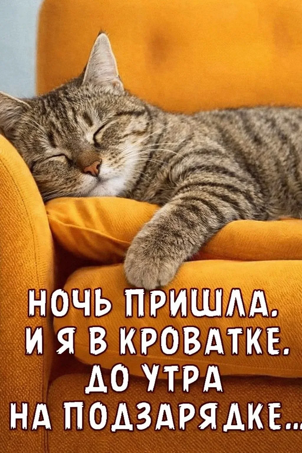 #СпокойнойНочи 😴

👉Открытки! Подписаться