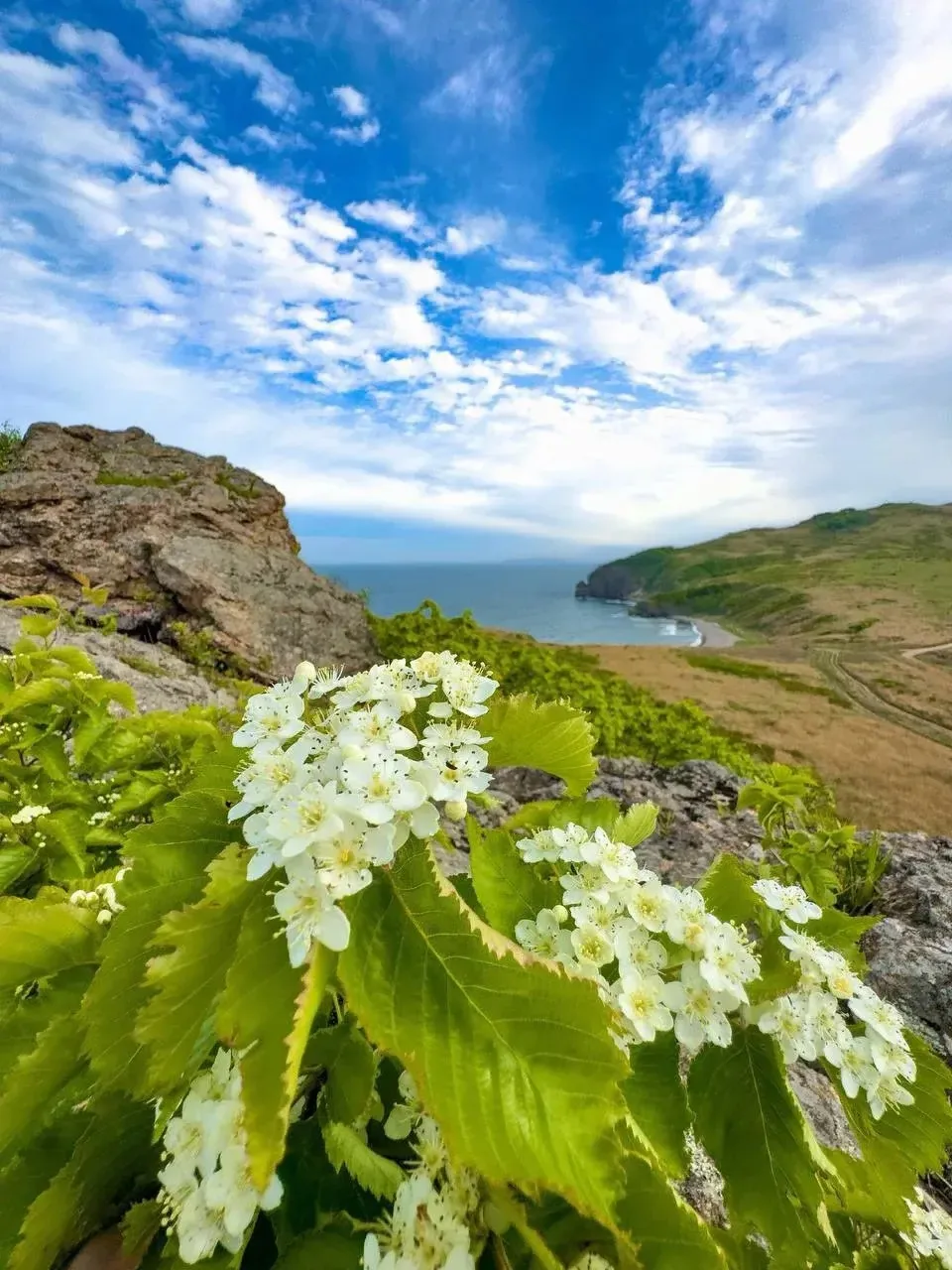 🚶🚶🏼‍♂️Продолжаем тему путешествий….                                        🌺Цветущий полуостров 