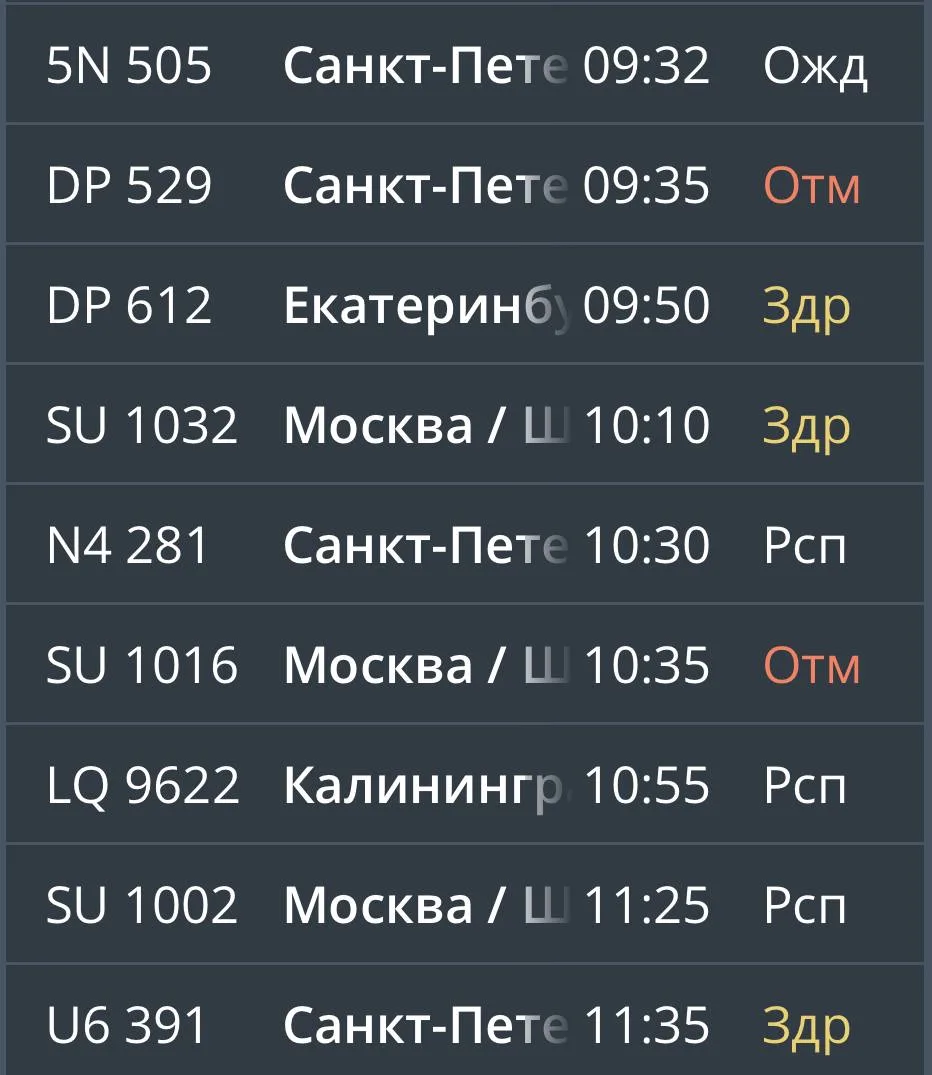 В аэропорту Калининграда отменили и задержали рейсы — максимальное время ожидания достигает почти во