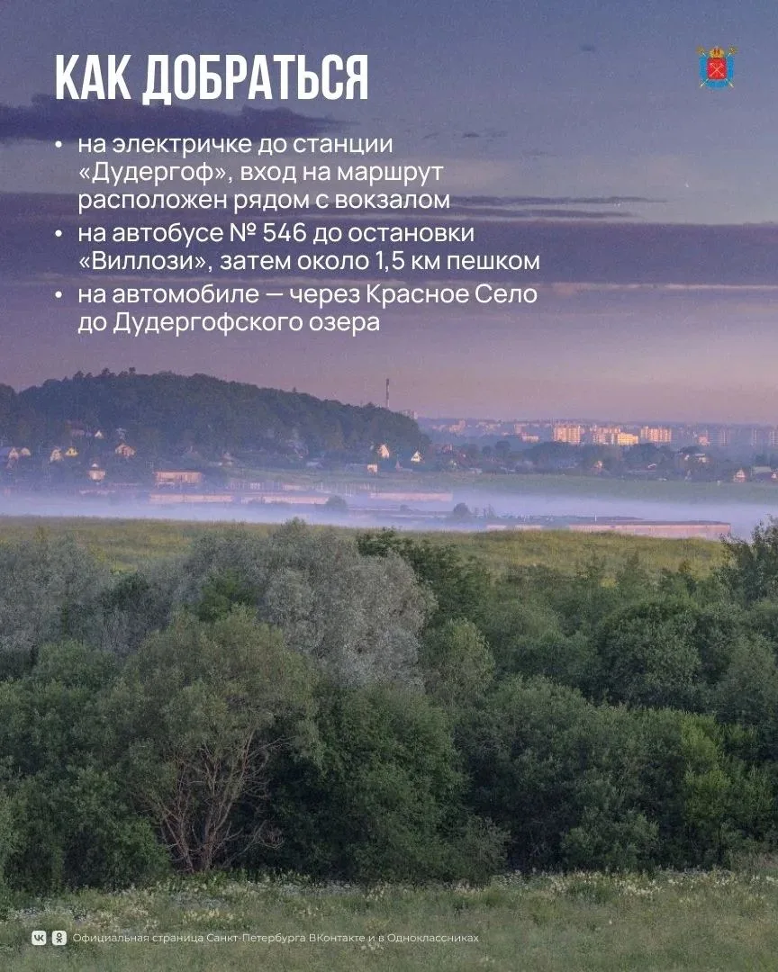 ☀🌾Прекрасная летняя погода располагает к долгим прогулкам по живописным природным запо...