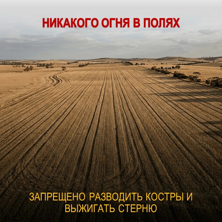 Министерство сельского хозяйства и продовольствия Самарской области предупреждает

Уважаемые сельхоз