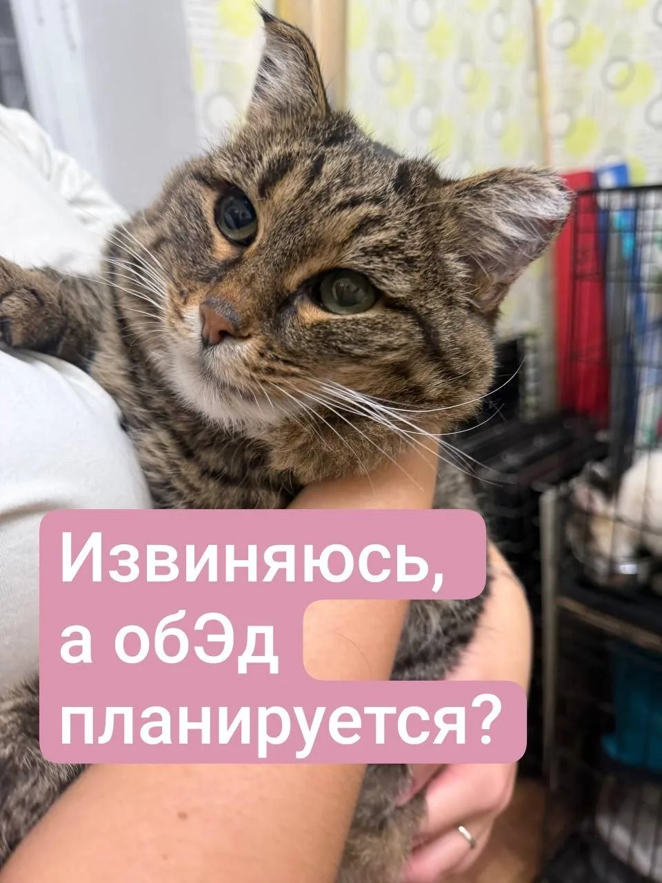Суббота. Мэмы 😜
