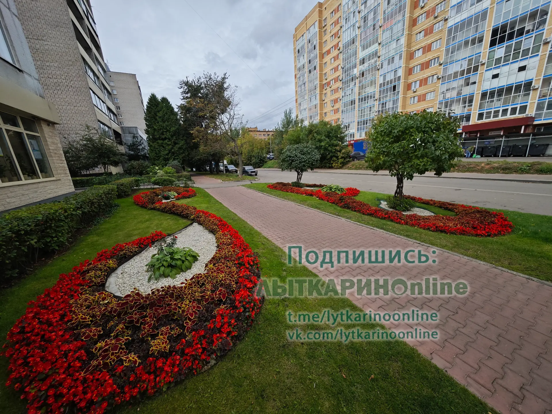 Доброе утро! Сегодня будет настоящая летняя погода, 22 градуса, солнце! И это самый тёп...