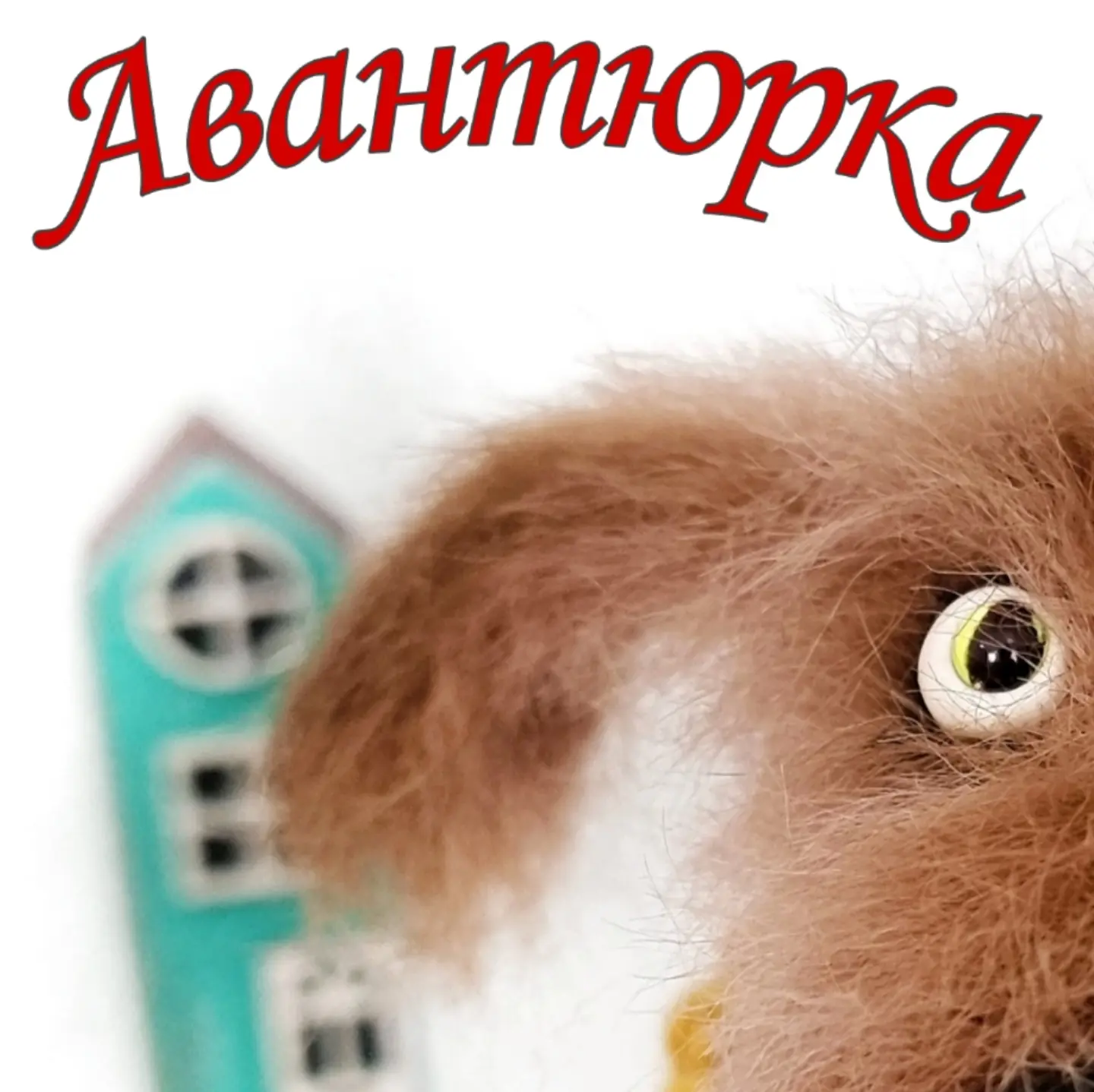 Девочки , у меня на страничке проходит АВАНТЮРКА!