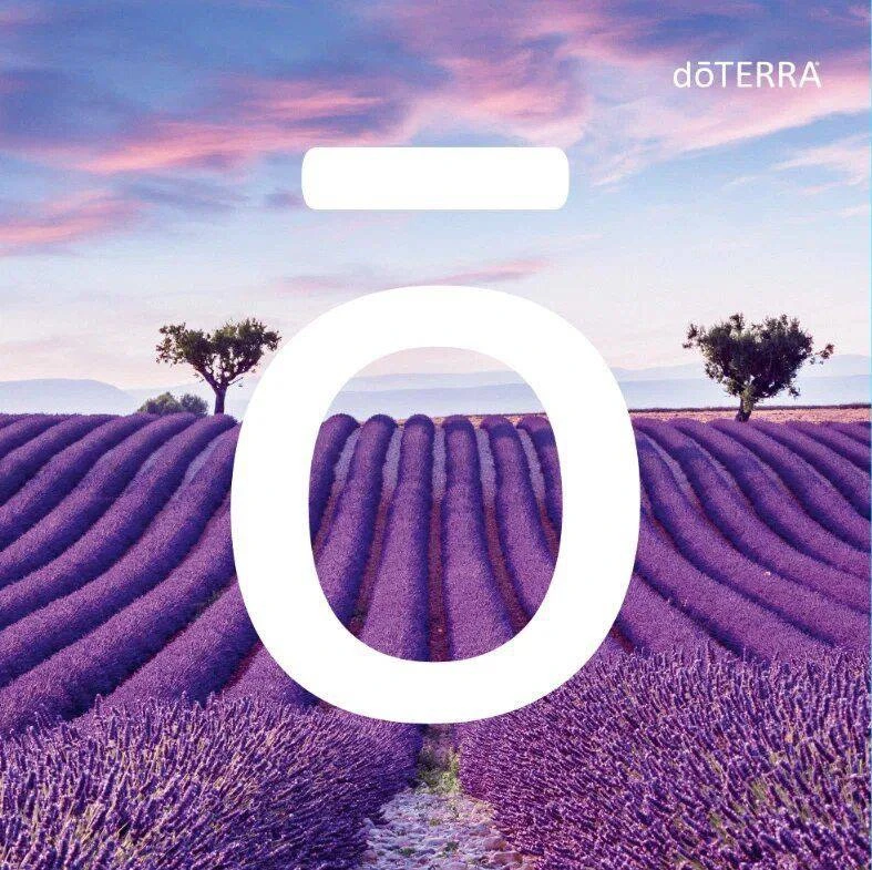 Знаете, я часто слышу вопрос: «Татьяна, почему именно doTERRA, ведь масел много?»