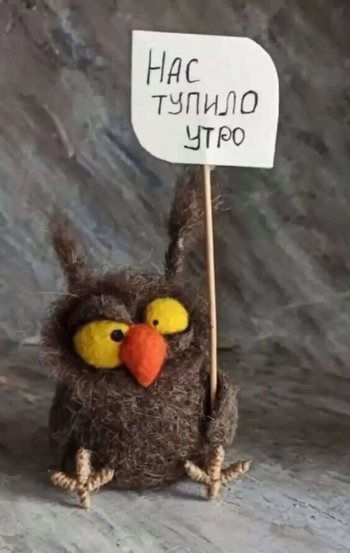 Утро доброе .