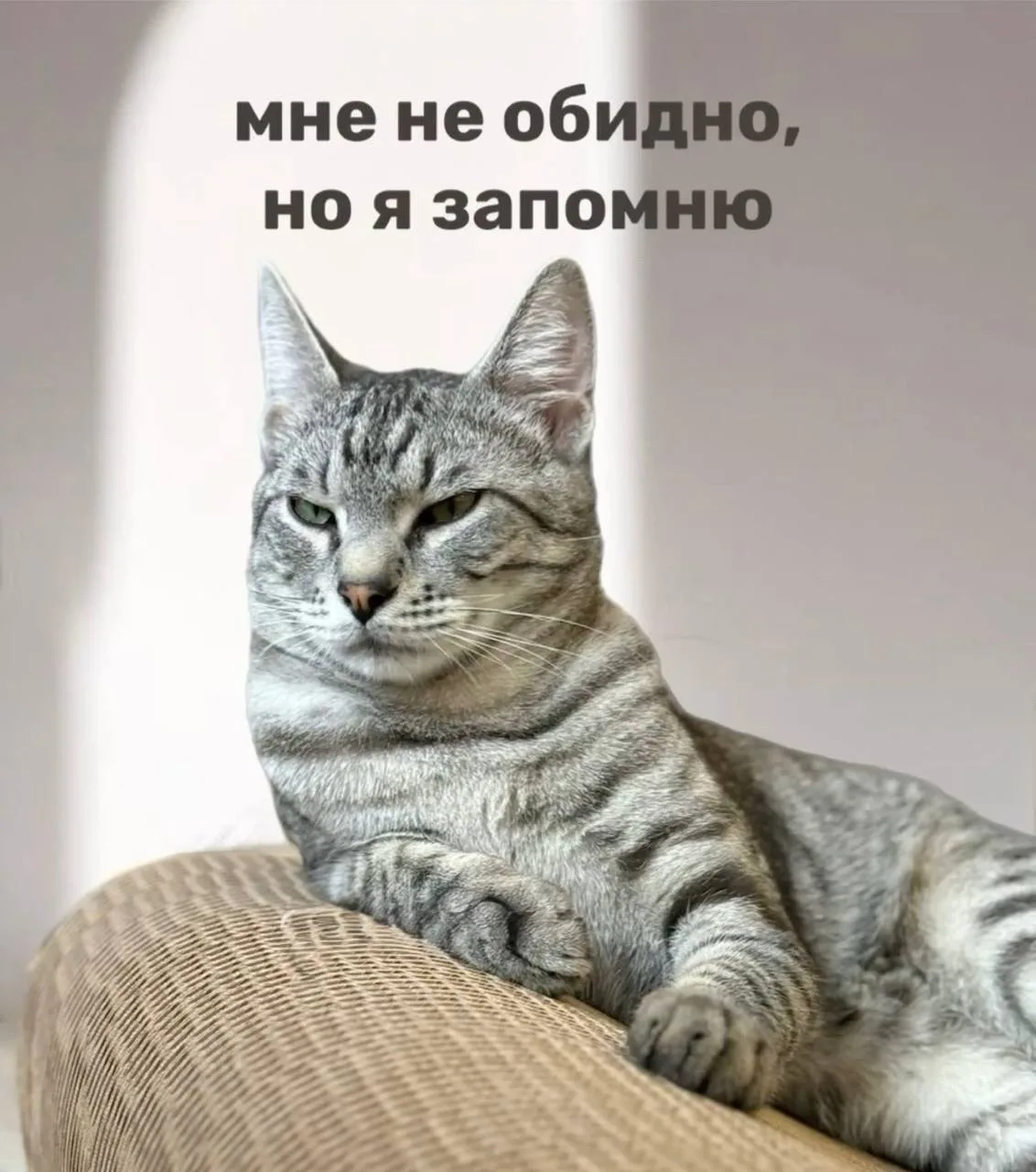 Самые обидчивые люди по дате рождения

Нумерологи считают, что рождённые 6, 15 и 24 числа особенно ч
